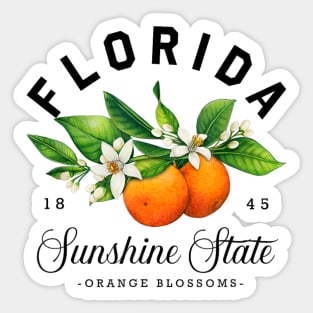 Florida Watercolor Orange Blossoms Sticker